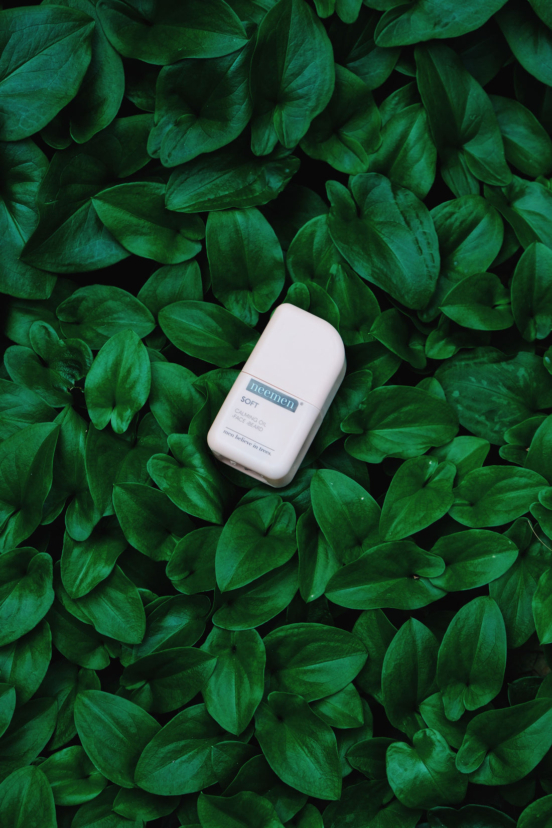 Soft Calming Oil 50ml